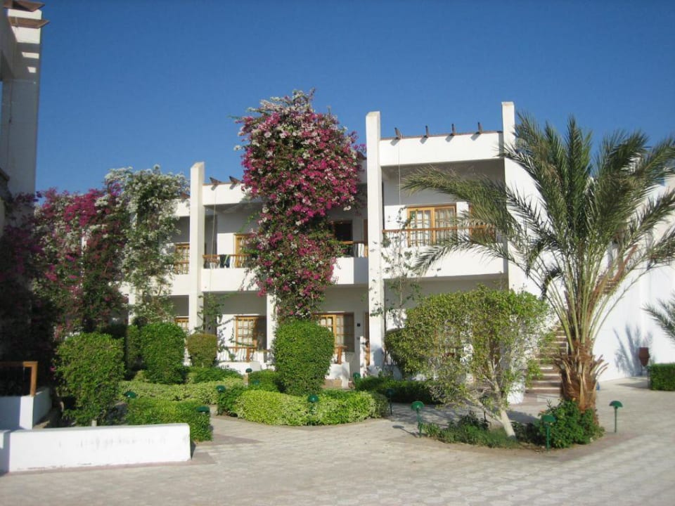 Hotel Menavlle Menaville Safaga