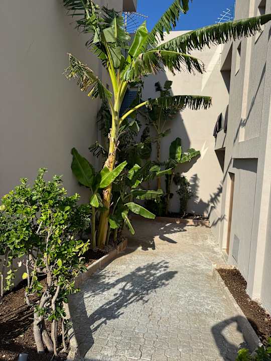 Gartenanlage Τhe Noverian Antama Organic Beach Resort Chania