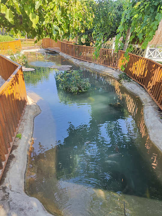 Gartenanlage Club Tuana Fethiye