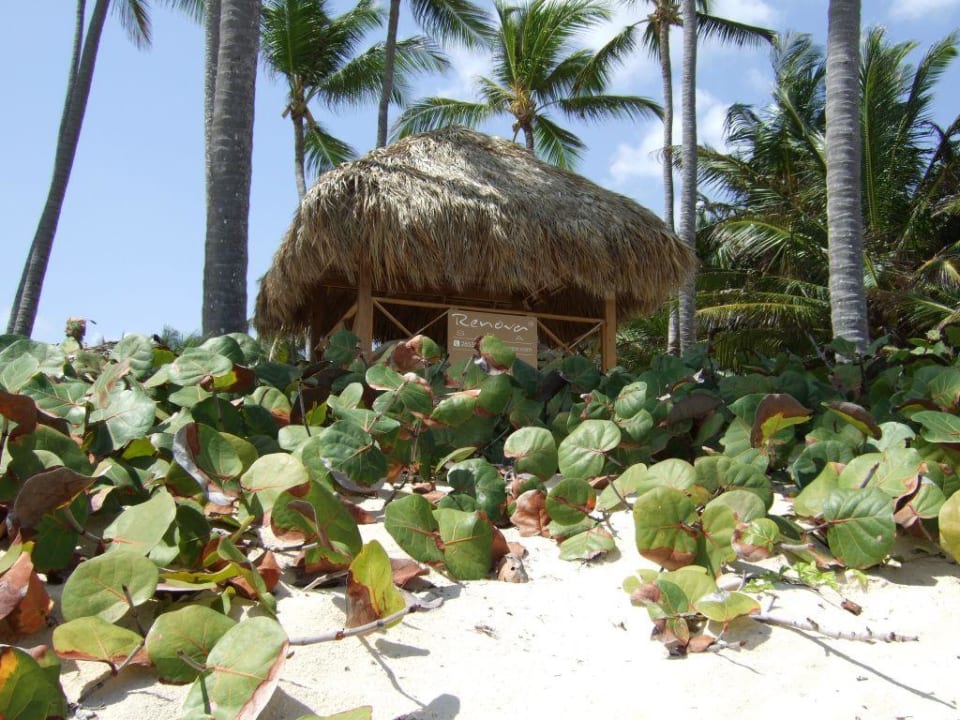 Spa am Strand Grand Palladium Select Bávaro Resort & Spa