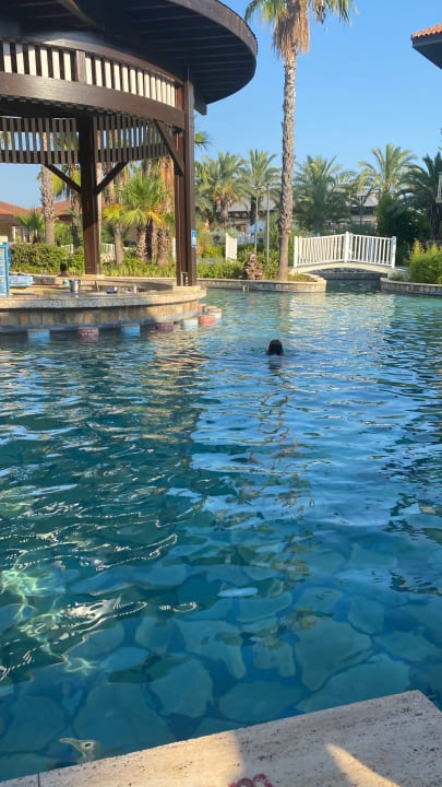 Pool Club Grand Aqua
