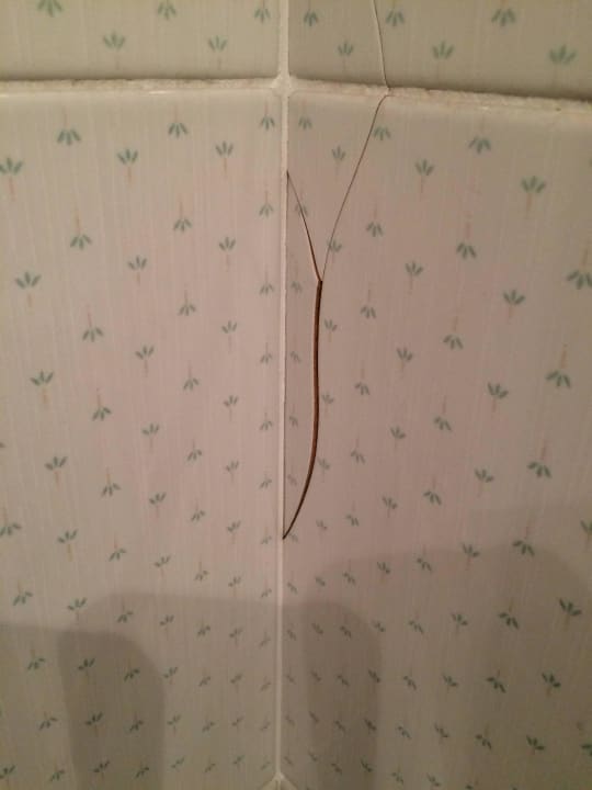 Fliesen Hotel Regina