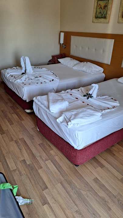 Zimmer Alaiye Resort & Spa