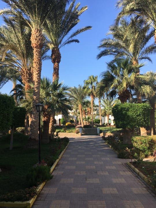 Gartenanlage Regina Resort and Aqua Park Hurghada