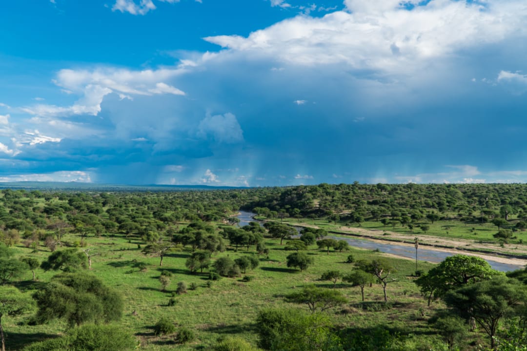 Ausblick Tarangire Safari Lodge