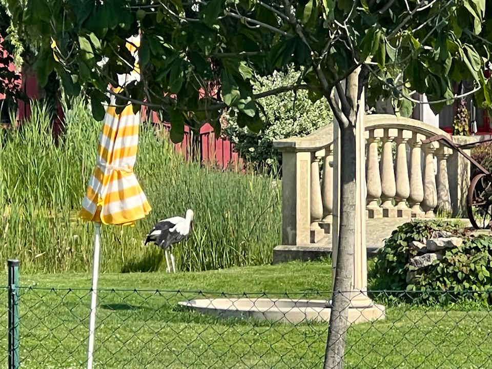 Gartenanlage Privathotel Das Schmidt