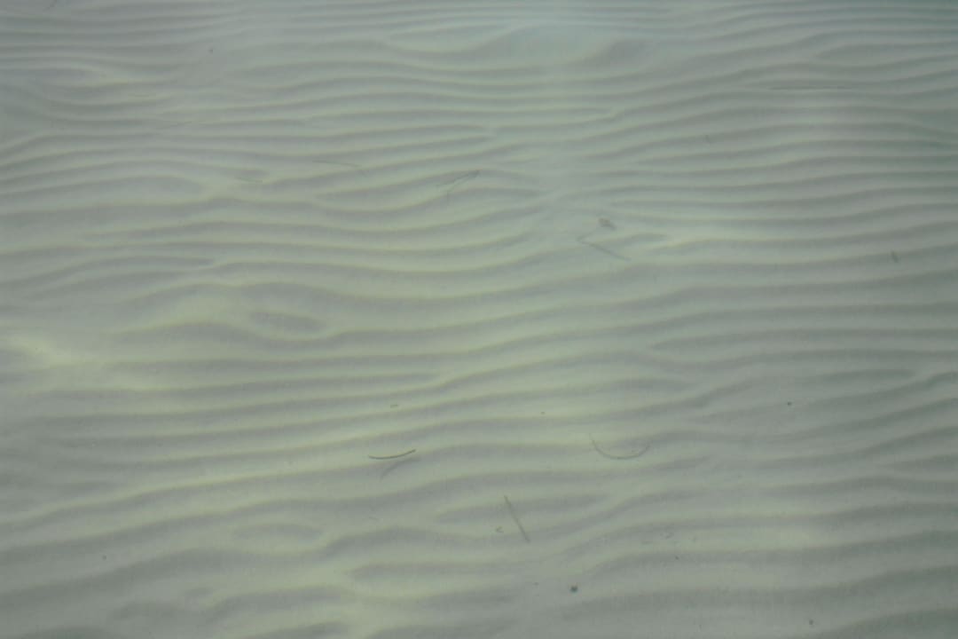 More Alcudia Garden Aparthotel