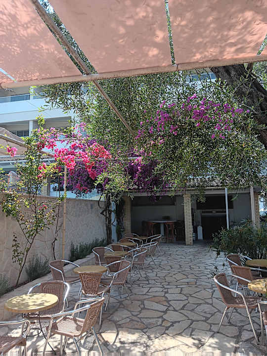 Gartenanlage Elea Beach Hotel
