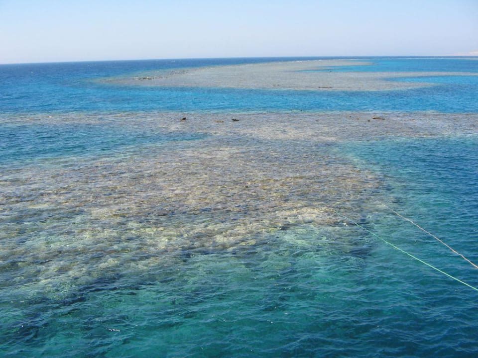 Das Dophin-House Le Jardin Aqua Park Resort