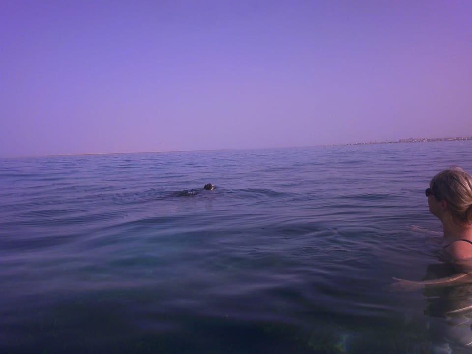 Strand Shams Prestige Abu Soma-Adults Only