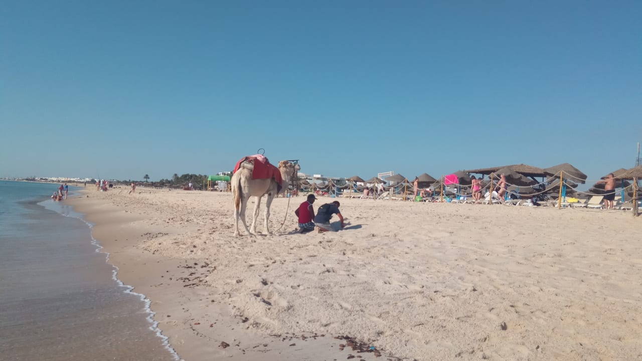 Strand Hotel Nesrine