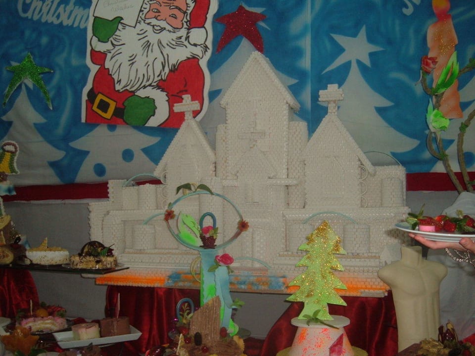 Weihnachten 2009 Pickalbatros Dana Beach Resort - Hurghada