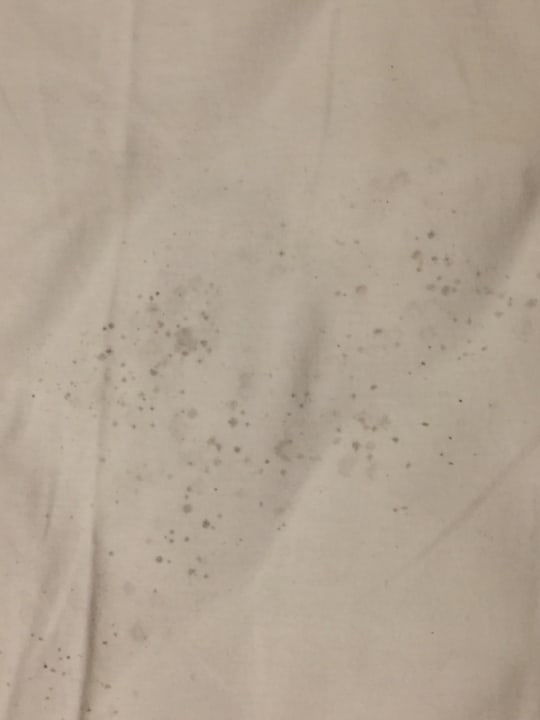 Zimmer Costa Maya Bodrum