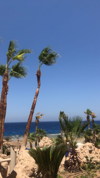 Strand Pickalbatros Citadel Resort