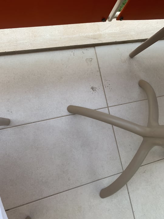 Zimmer AQI Pegasos World