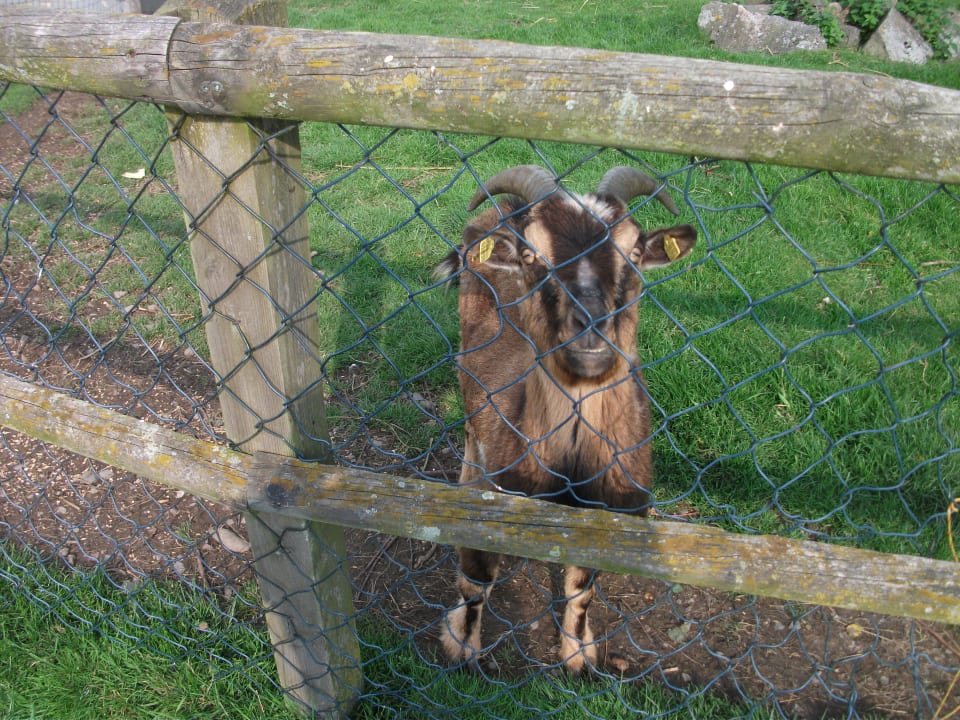 Sonstiges Wiesenberghof