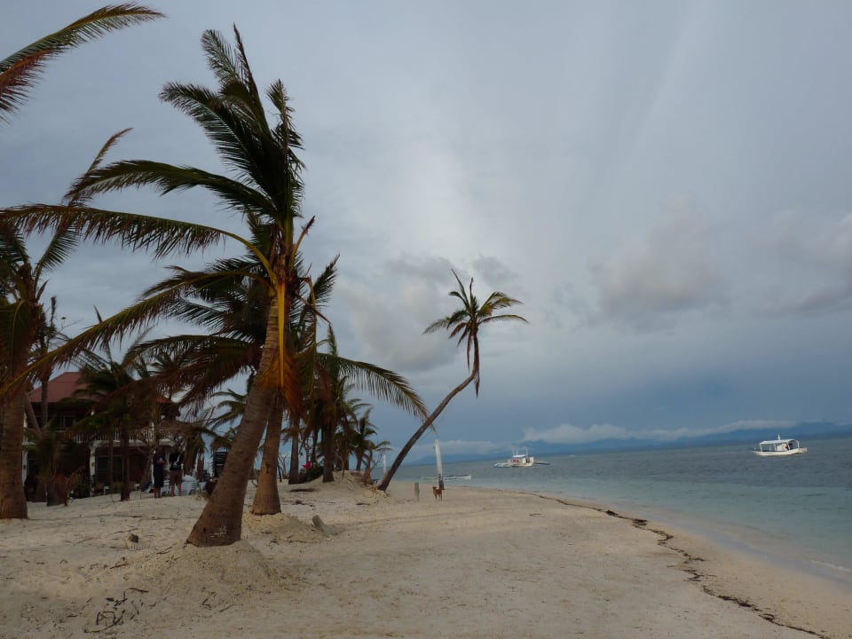 Beach Hotel Malapascua Island Exotic Dive Resort