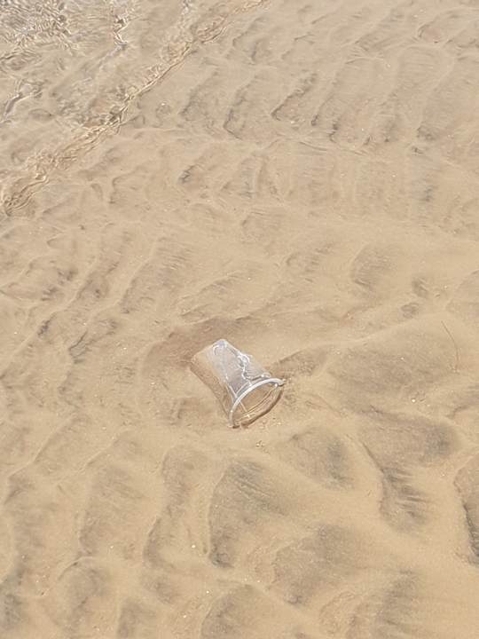 Strand Sentido Caribbean World Soma Bay