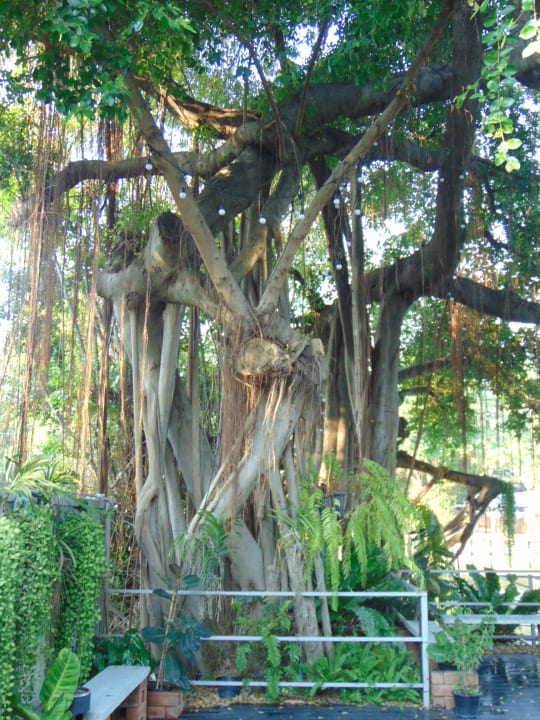Gartenanlage Canalis Suvarnabhumi Airport Hotel