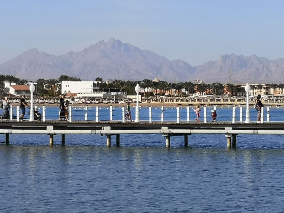 Sonstiges Desert Rose