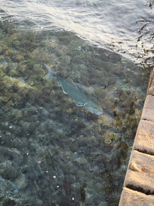 Strand Casa Mare Resort