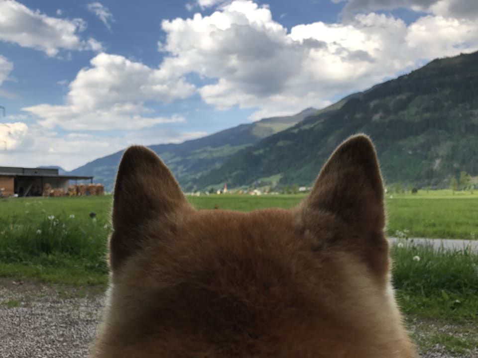 Ausblick Hotel Magdalena