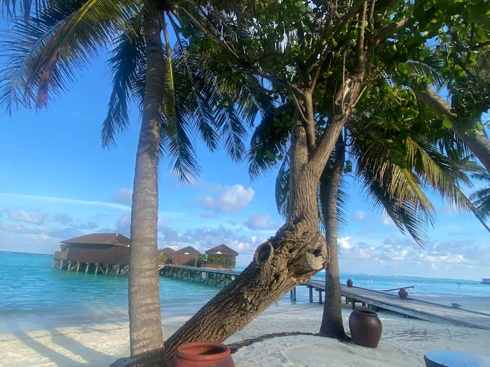 Strand Meeru Maldives Resort Island