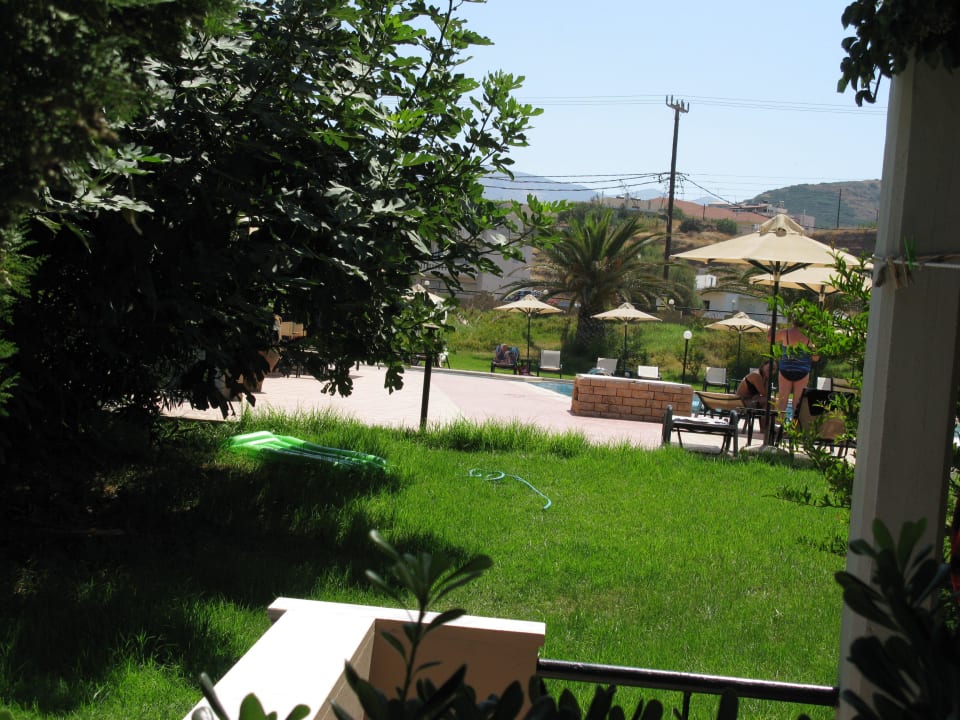 Otoczenie hotelu Hotel Peli