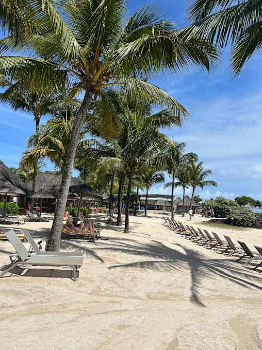 Strand Zilwa Attitude