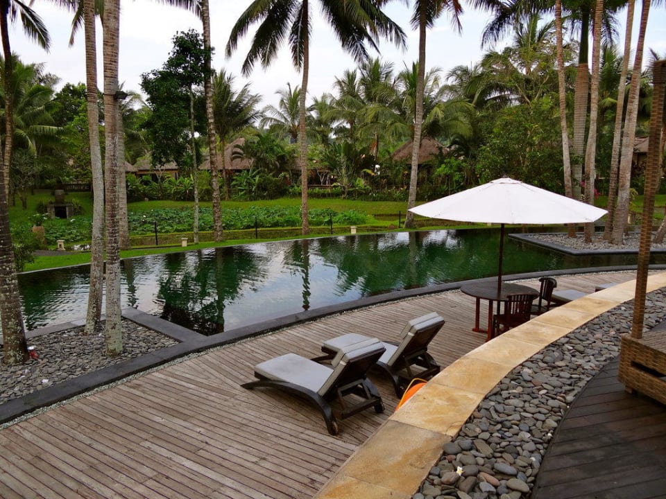 Große Poolanlage The Ubud Village Resort & Spa