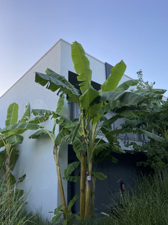 Außenansicht Paloma Finesse