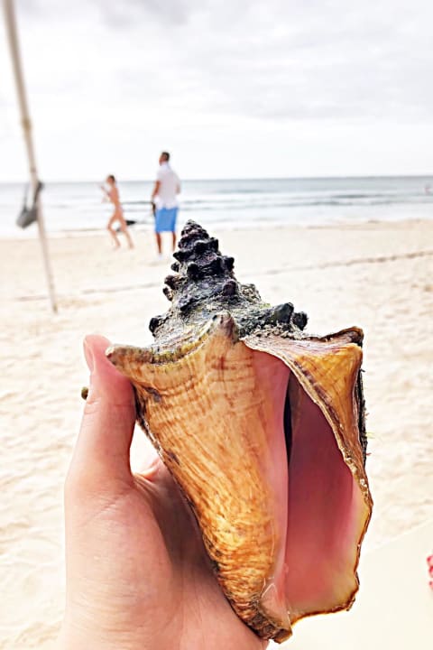 Strand Dreams Tulum Resort & Spa