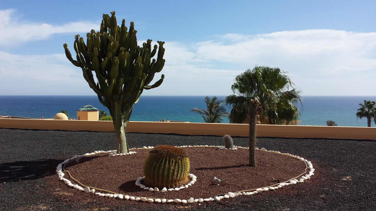 Gartenanlage H10 Playa Esmeralda - Adults only