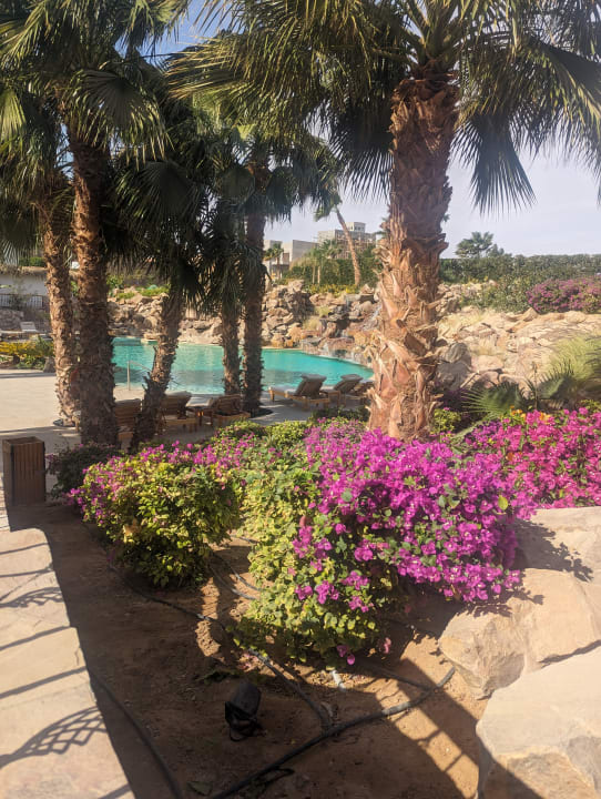 Pool Fort Arabesque Resort, Spa & Villas