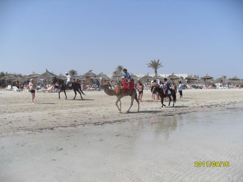 Fortbewegungsmittel am Strand Calimera Yati Beach
