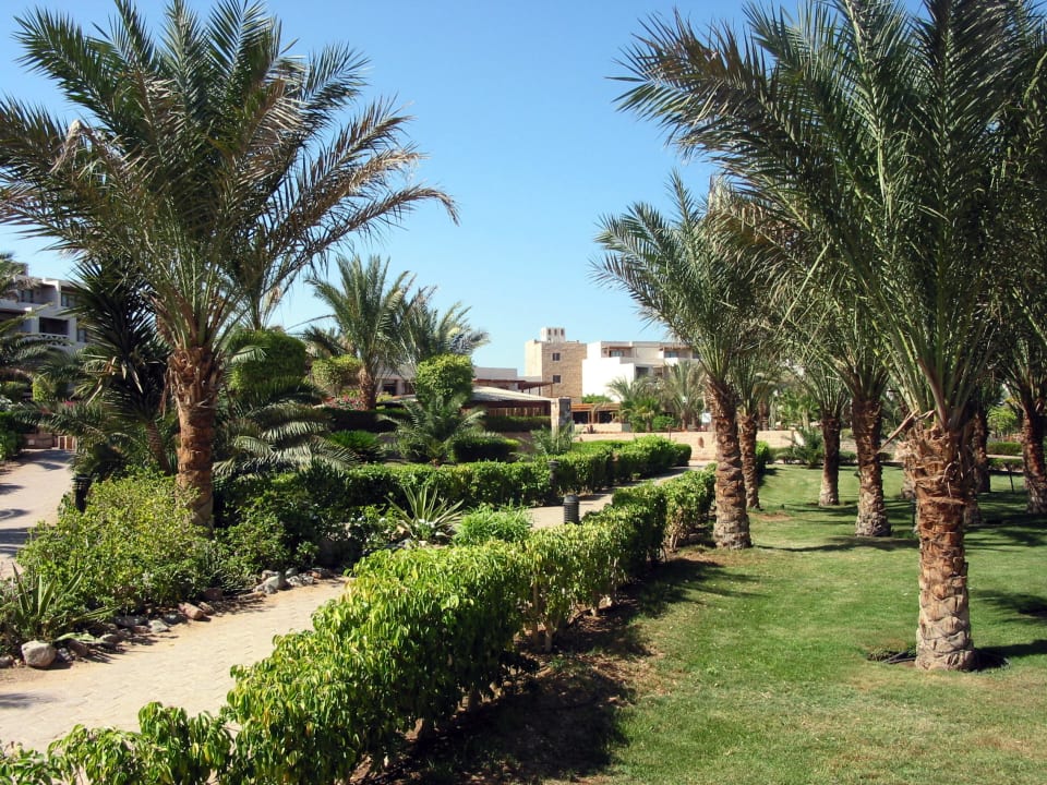 Hotel Fort Arabesque Fort Arabesque Resort, Spa & Villas