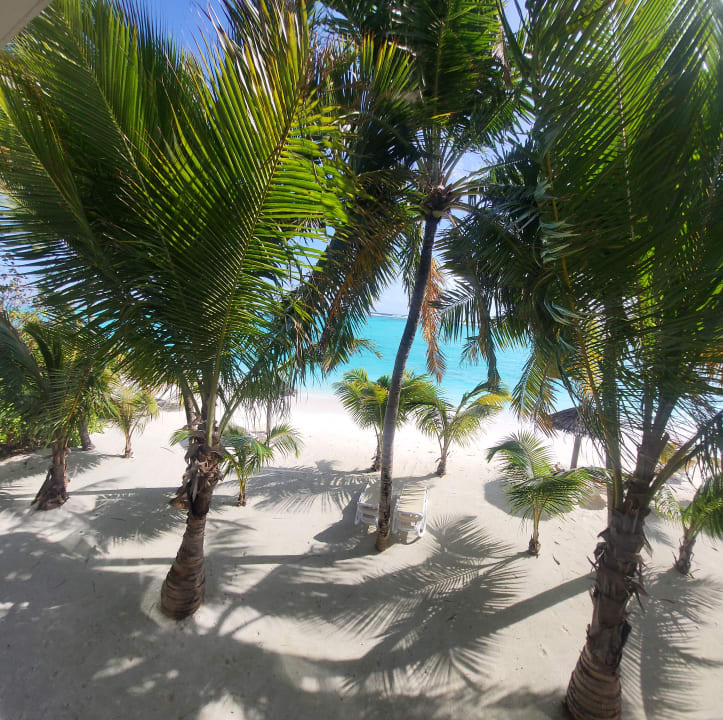 Zimmer Hotel Riu Palace Maldivas