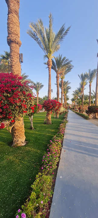 Gartenanlage Brayka Bay Resort