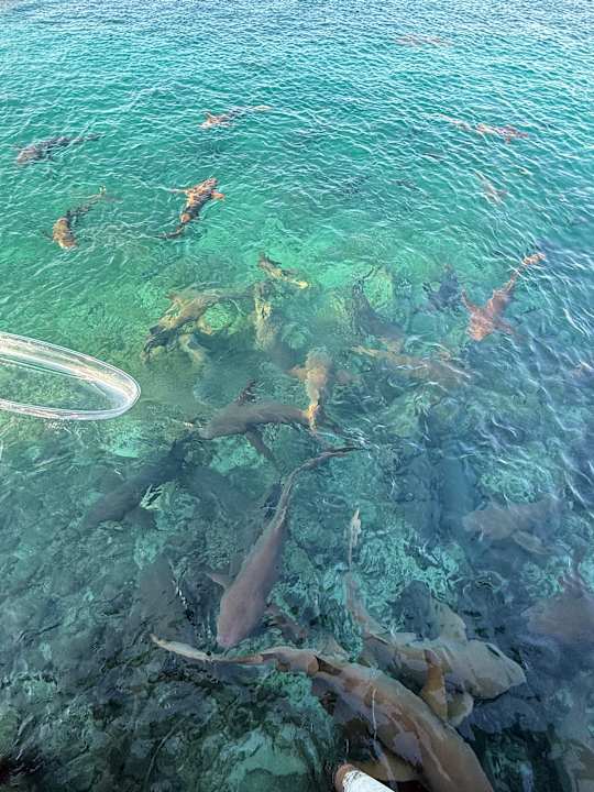 Sonstiges OBLU SELECT at Sangeli Island