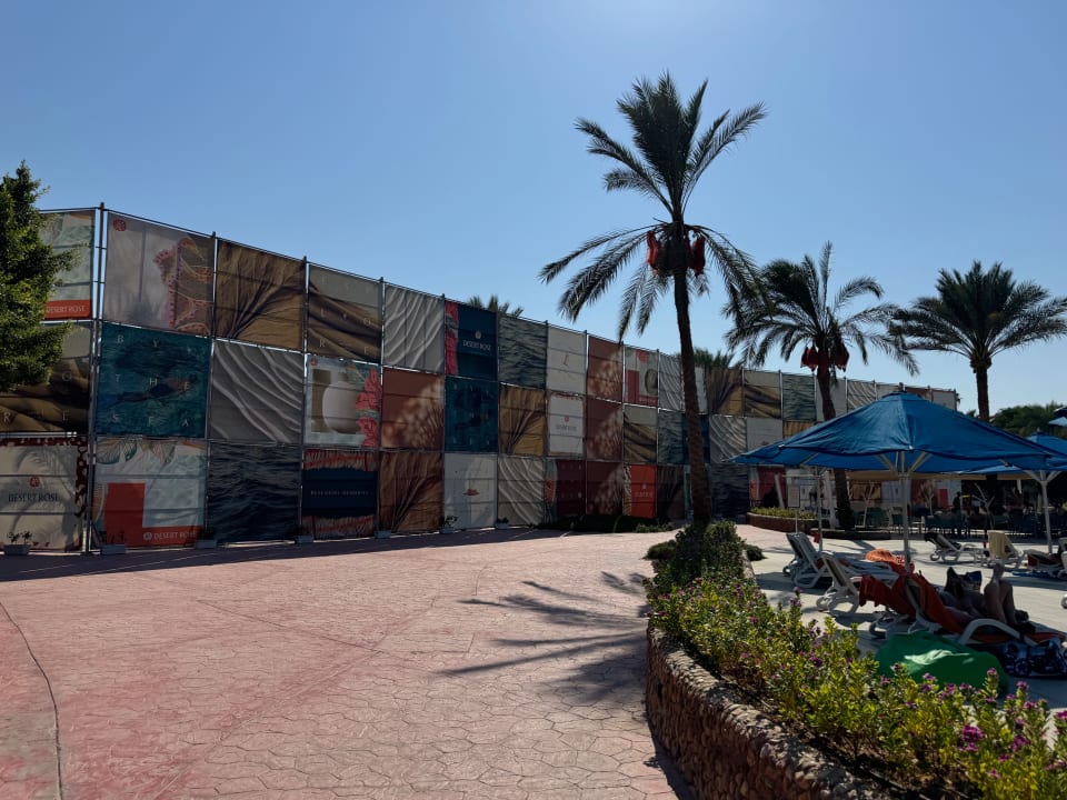 Sonstiges Desert Rose