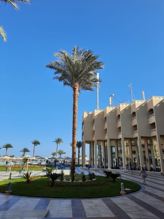 Außenansicht Beach Albatros Resort