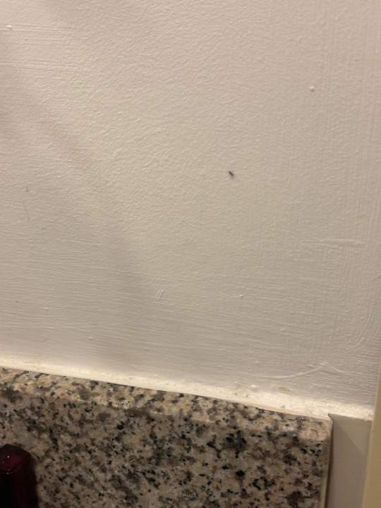 Zimmer Ephesia Holiday Beach Club