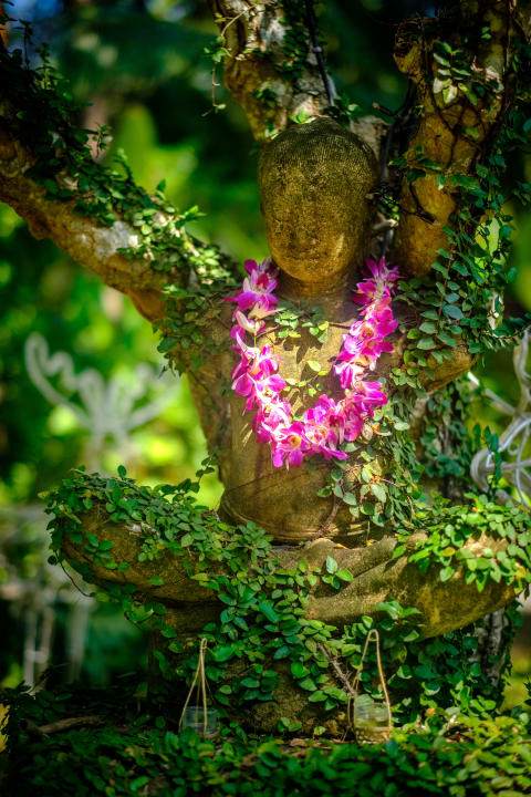 Gartenanlage Zazen Boutique Resort & Spa