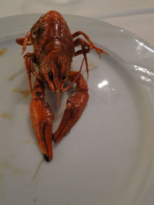 Kolacja Club Hotel Phaselis Rose