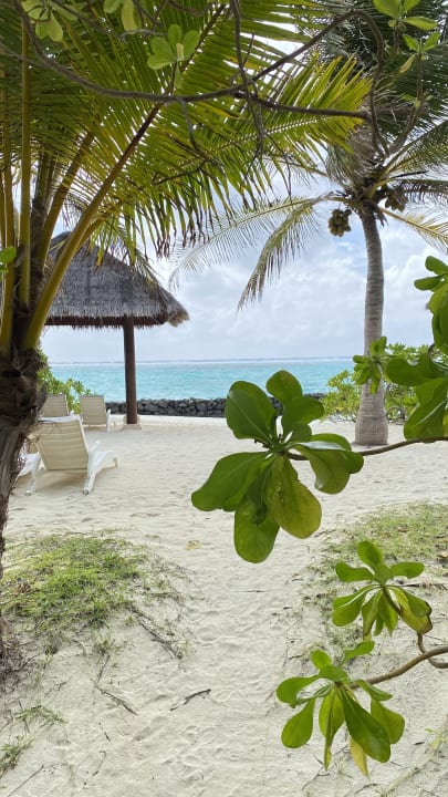 Ausblick Summer Island Maldives