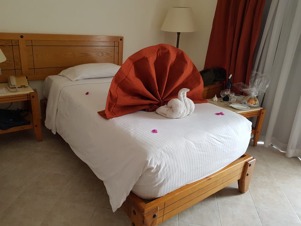 Zimmer Three Corners Fayrouz Plaza Beach Resort