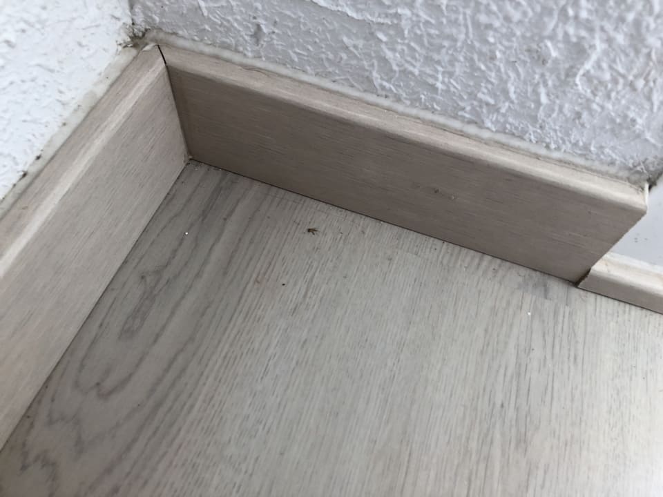 Zimmer Alcudia Garden Aparthotel