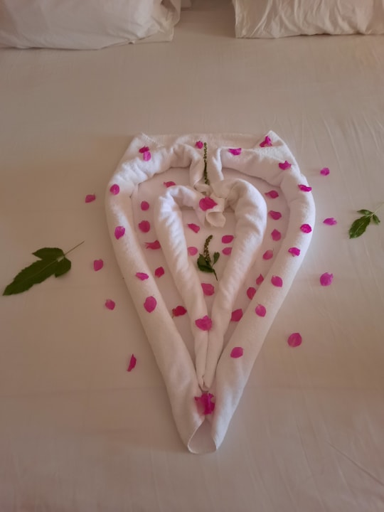 Zimmer Jaz Makadi Saraya Resort