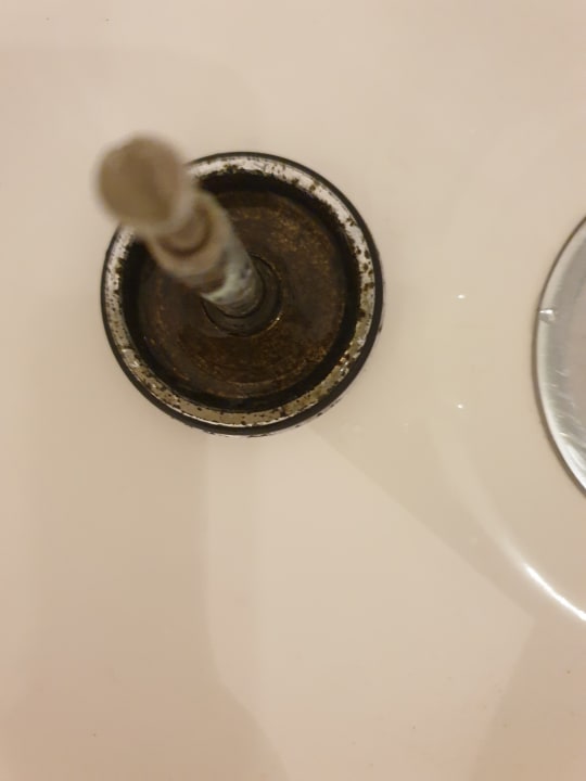 Zimmer Good Morning + Leipzig