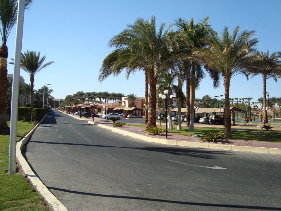 Отель. Beach Albatros Resort
